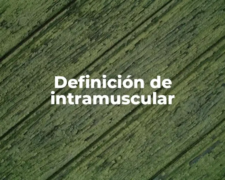 Definición de intramuscular