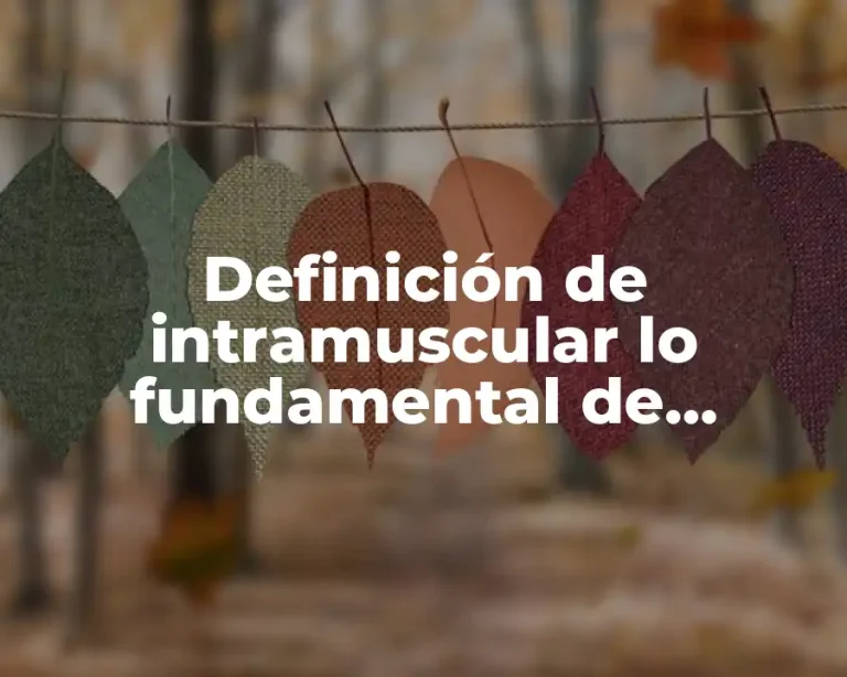 Definición de intramuscular lo fundamental de enfermeria