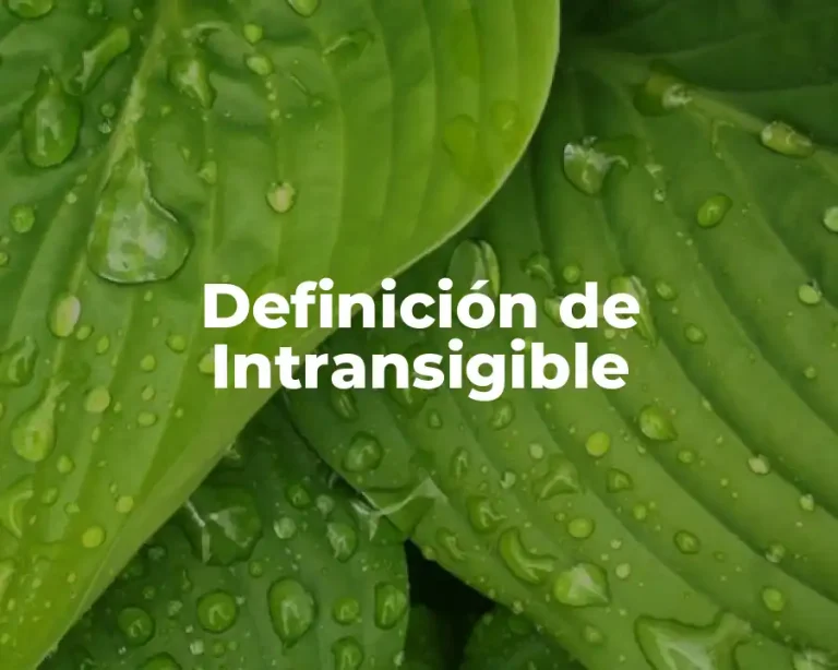 Definición de Intransigible