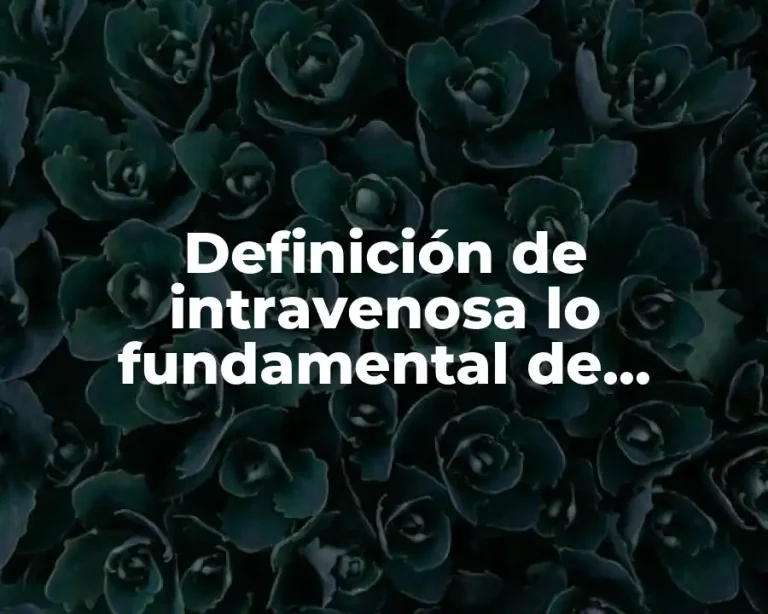 Definición de intravenosa lo fundamental de enfermería