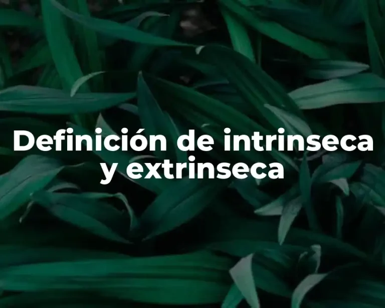 Definición de intrinseca y extrinseca