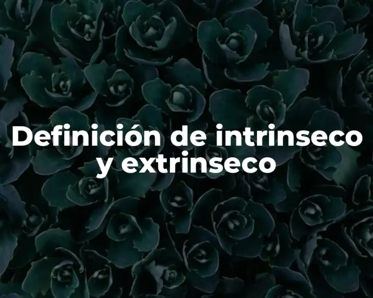 Definición de intrinseco y extrinseco
