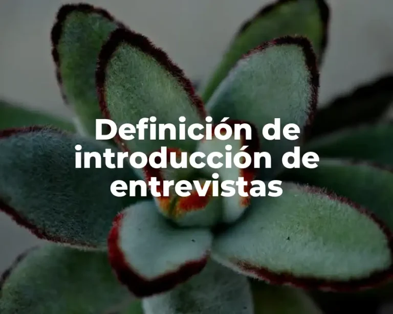 Definición de introducción de entrevistas