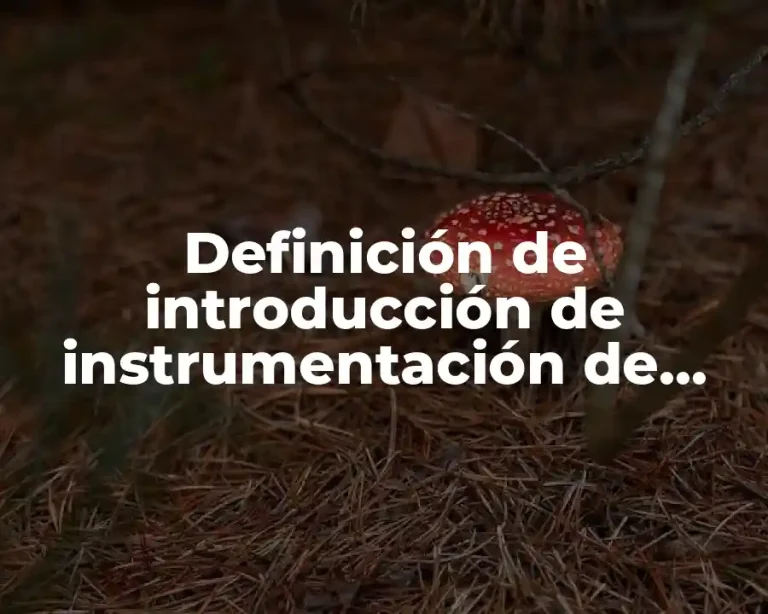 Definición de introducción de instrumentación de medidas temperatura y presión