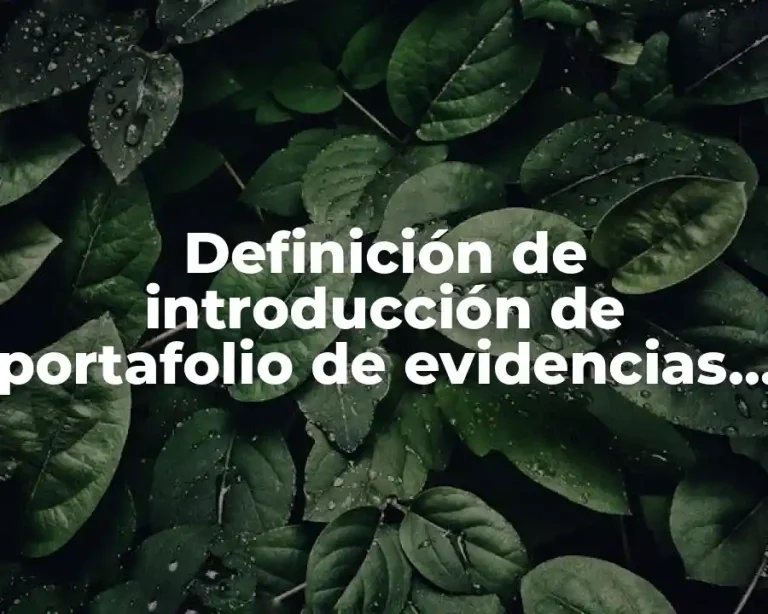 Definición de introducción de portafolio de evidencias de la materia
