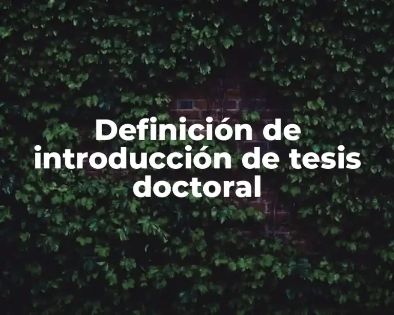 Definición de introducción de tesis doctoral