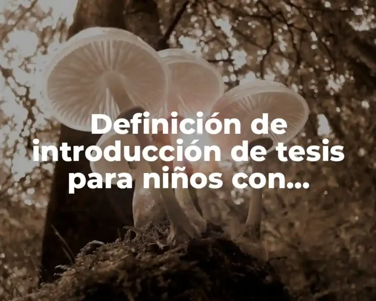 Definición de introducción de tesis para niños con discapacidad