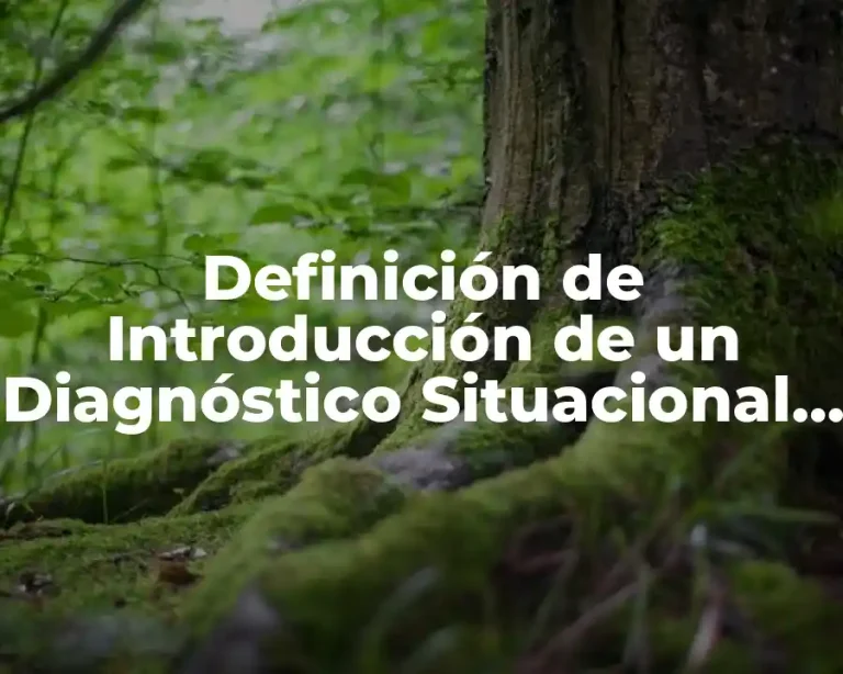 Definición de Introducción de un Diagnóstico Situacional de Enfermería