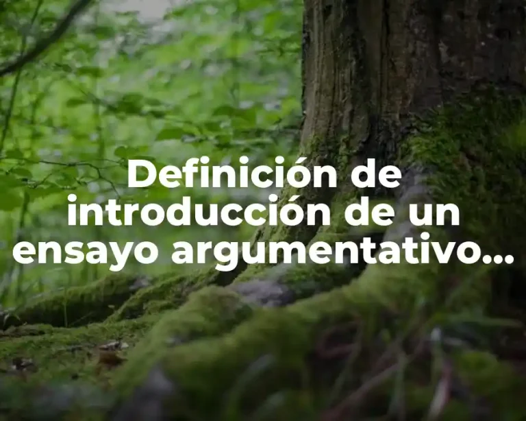 Definición de introducción de un ensayo argumentativo de historia