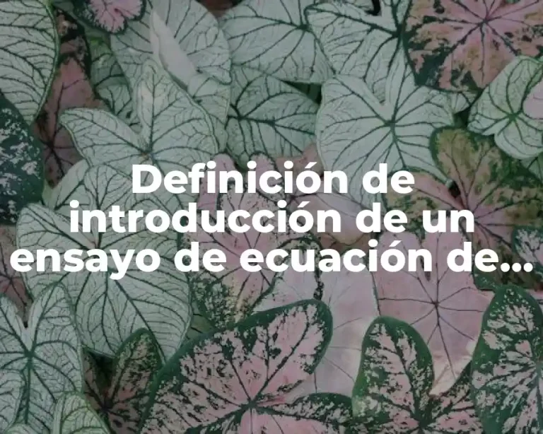 Definición de introducción de un ensayo de ecuación de recta