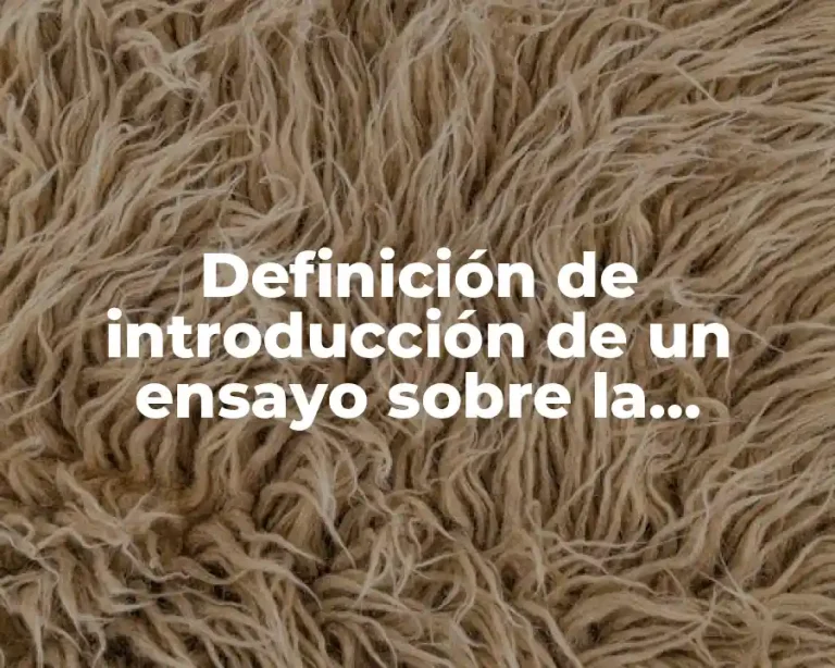 Definición de introducción de un ensayo sobre la educación