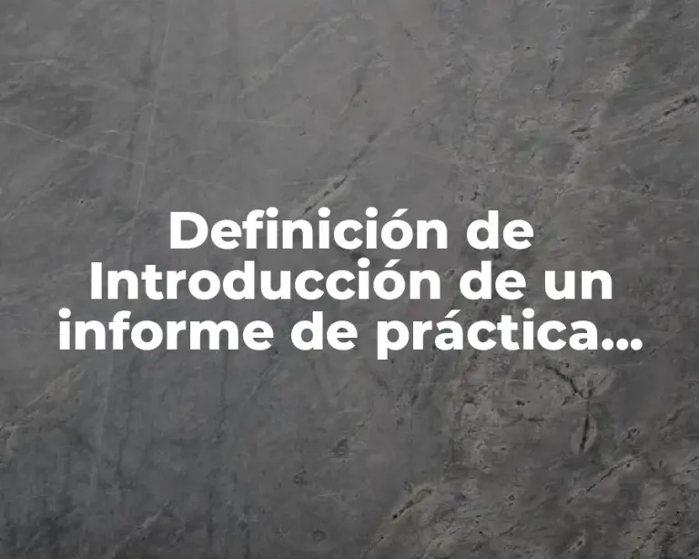 Definición de Introducción de un informe de práctica profesional