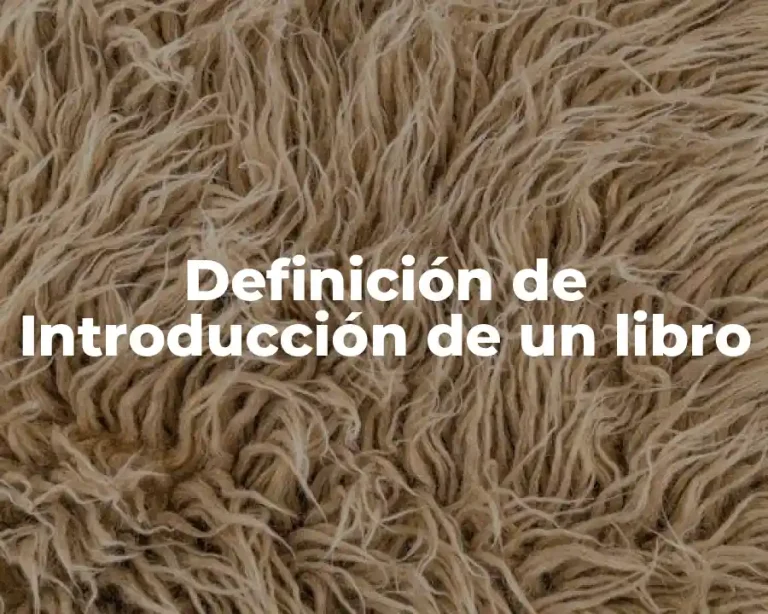 Definición de Introducción de un libro