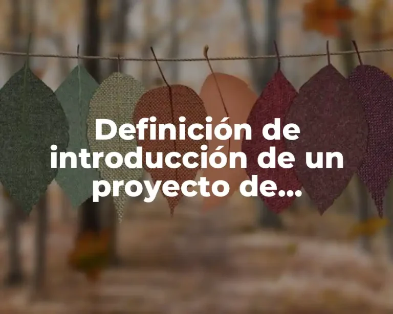 Definición de introducción de un proyecto de investigación acción