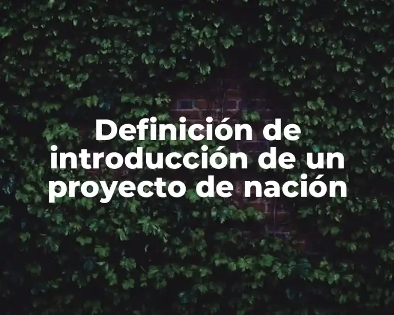 Definición de introducción de un proyecto de nación