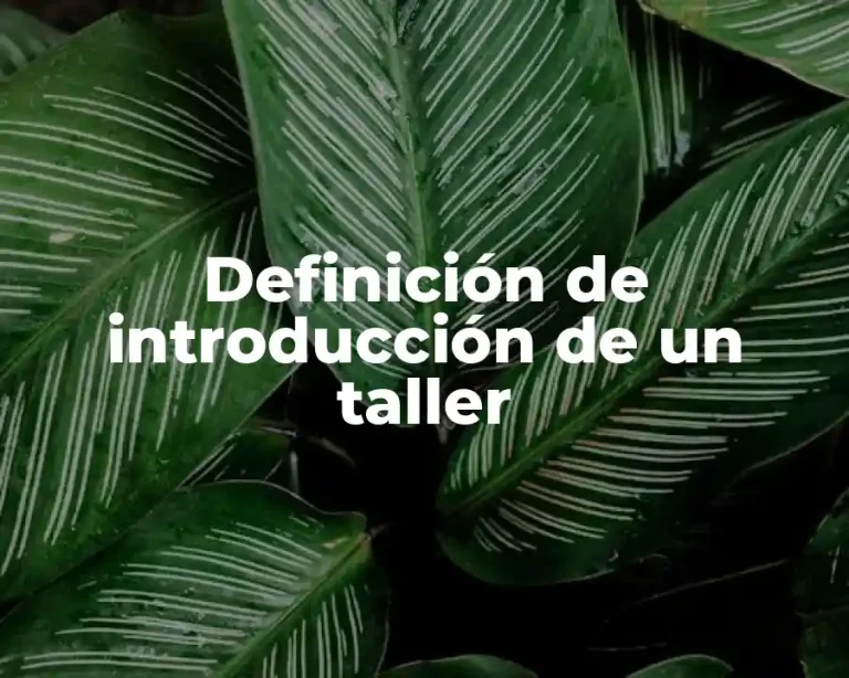 Definición de introducción de un taller