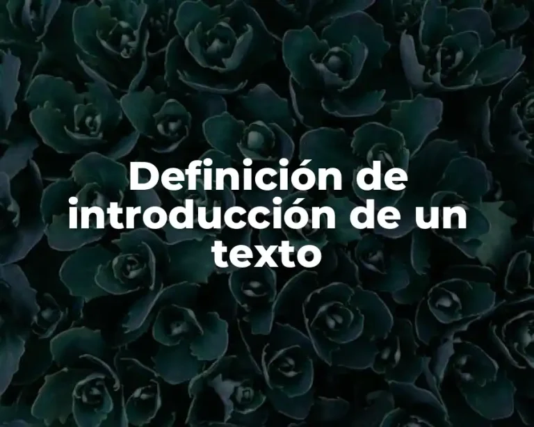 Definición de introducción de un texto