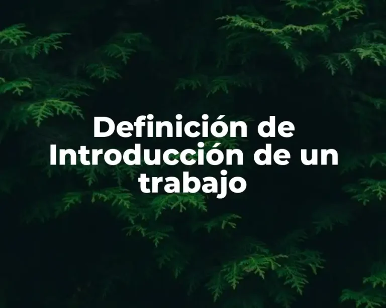 Definición de Introducción de un trabajo