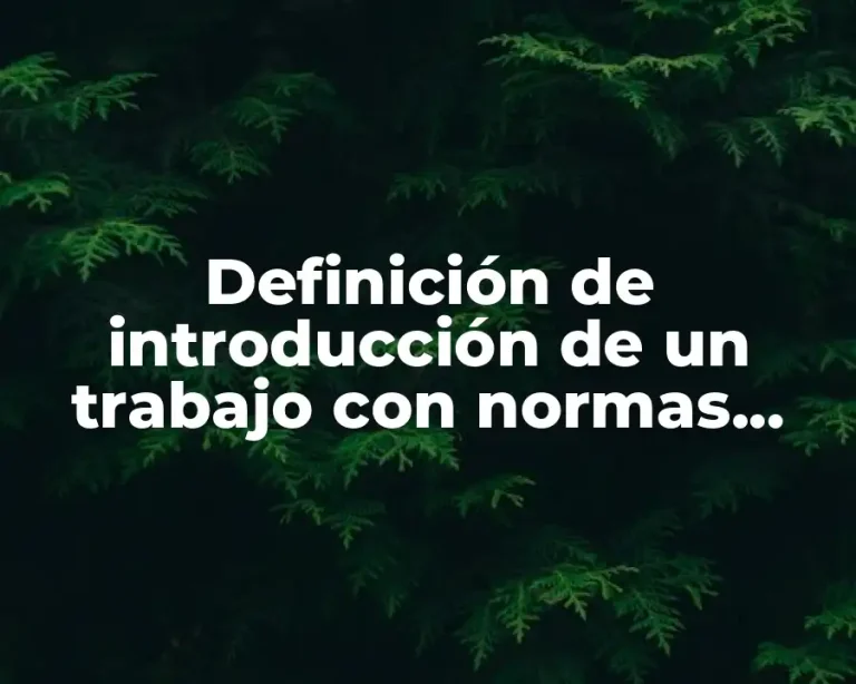Definición de introducción de un trabajo con normas APA