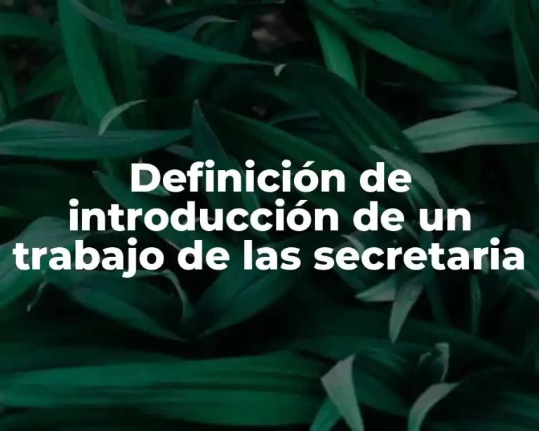 Definición de introducción de un trabajo de las secretaria