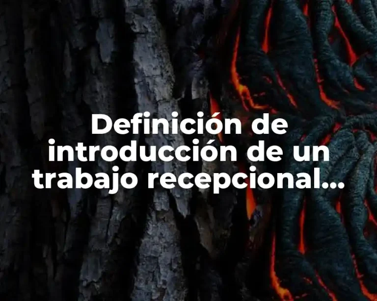 Definición de introducción de un trabajo recepcional sobre educación