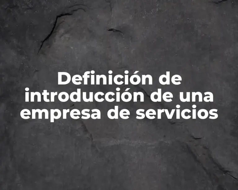 Definición de introducción de una empresa de servicios