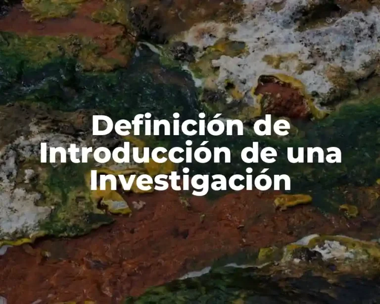 Definición de Introducción de una Investigación