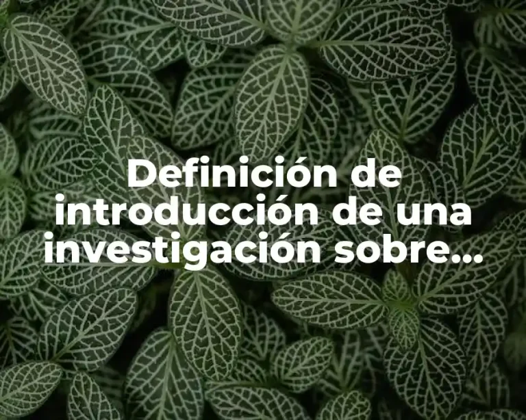 Definición de introducción de una investigación sobre practicas profesionales