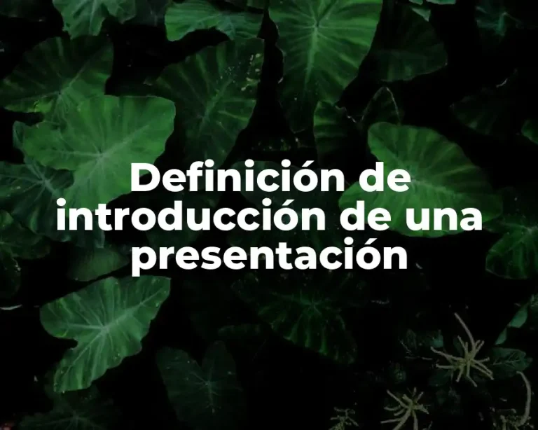 Definición de introducción de una presentación