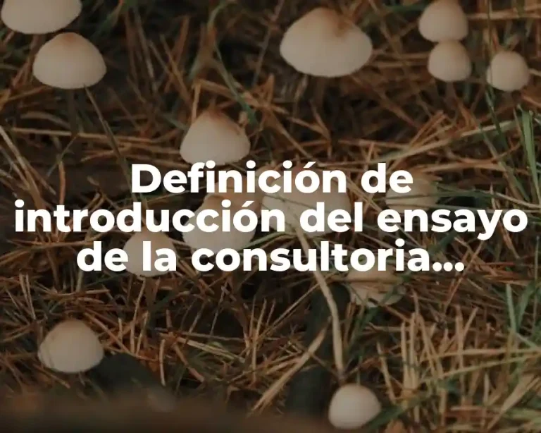 Definición de introducción del ensayo de la consultoria empresarial