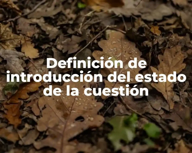 Definición de introducción del estado de la cuestión