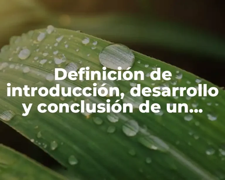 Definición de introducción, desarrollo y conclusión de un cuento