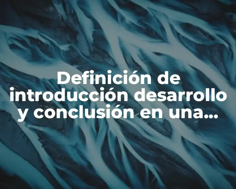Definición de introducción desarrollo y conclusión en una biografía