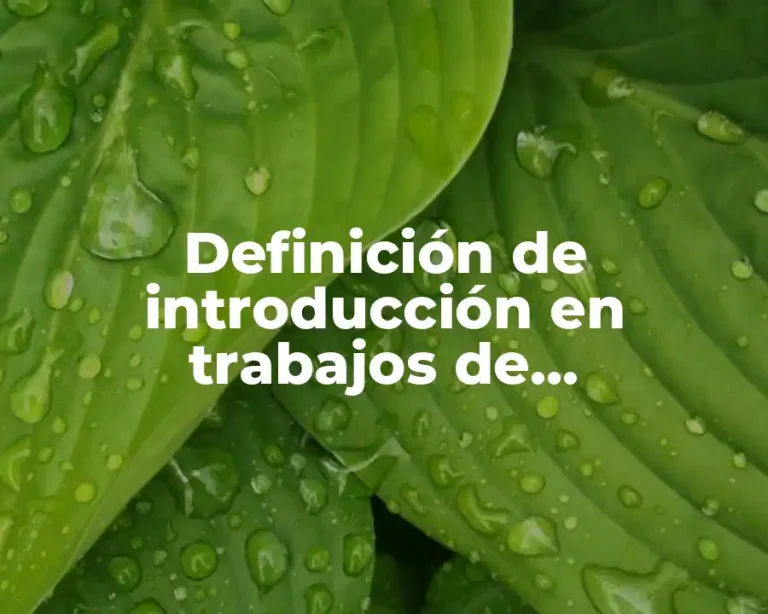 Definición de introducción en trabajos de investigación