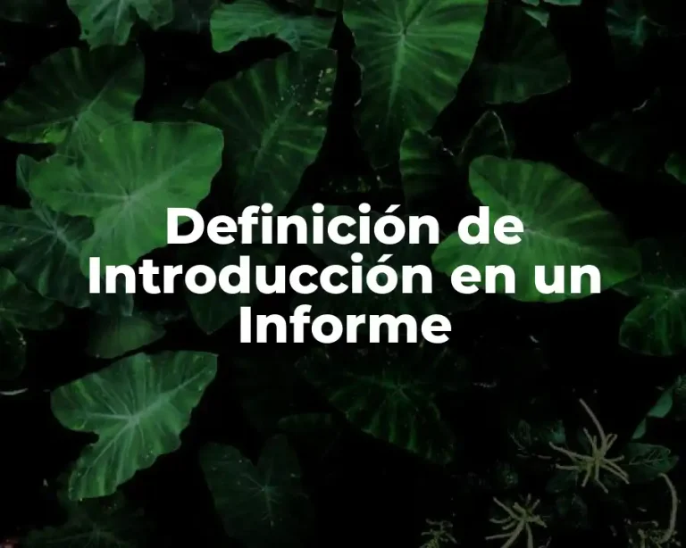 Definición de Introducción en un Informe