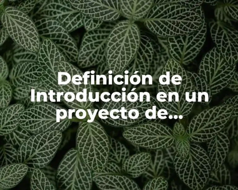 Definición de Introducción en un proyecto de investigación
