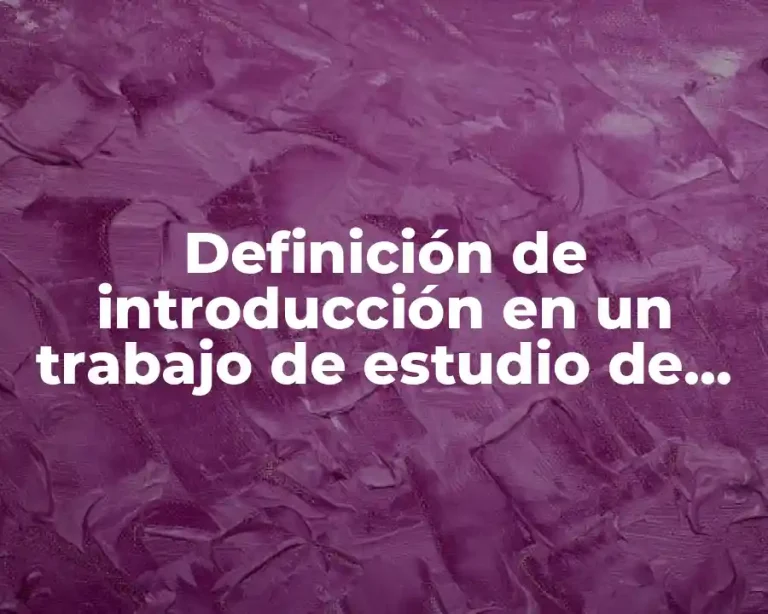 Definición de introducción en un trabajo de estudio de caso