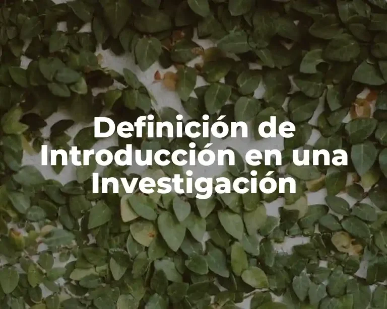 Definición de Introducción en una Investigación