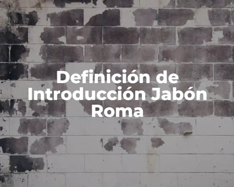 Definición de Introducción Jabón Roma