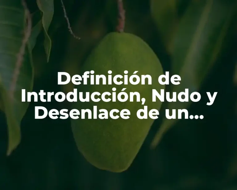 Definición de Introducción, Nudo y Desenlace de un Cuento
