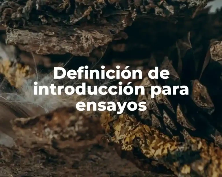 Definición de introducción para ensayos