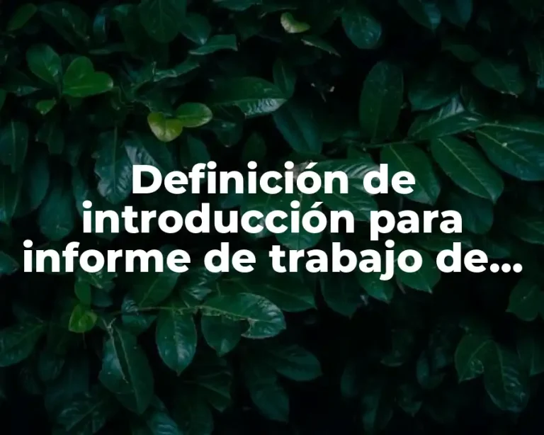 Definición de introducción para informe de trabajo de campo