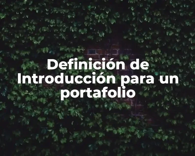 Definición de Introducción para un portafolio