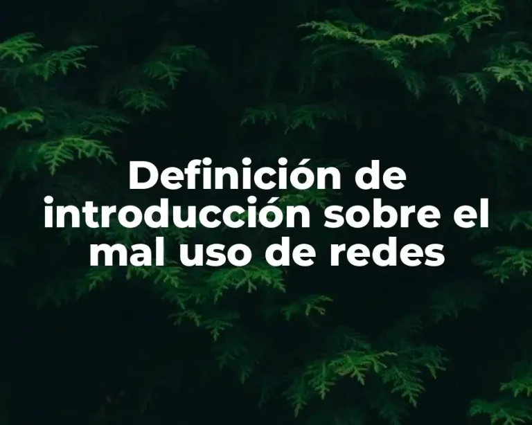 Definición de introducción sobre el mal uso de redes