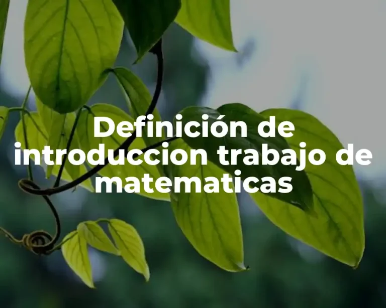 Definición de introduccion trabajo de matematicas