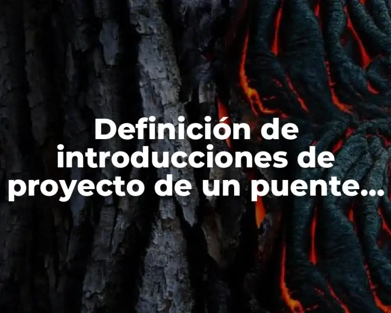 Definición de introducciones de proyecto de un puente colgante