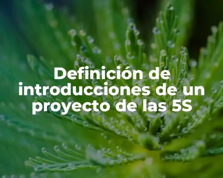 Definición de introducciones de un proyecto de las 5S