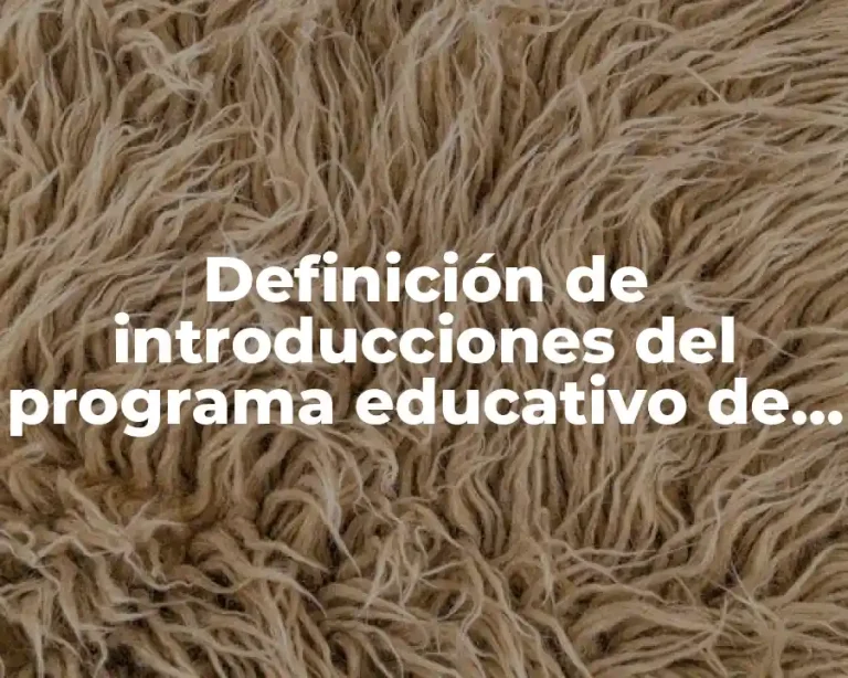 Definición de introducciones del programa educativo de mejora continua