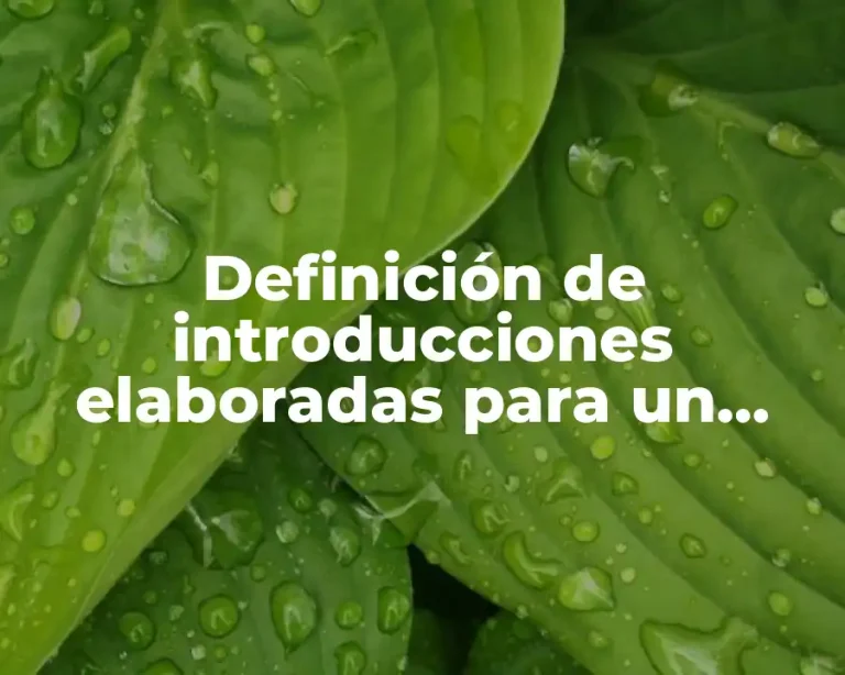 Definición de introducciones elaboradas para un proyecto de residencia