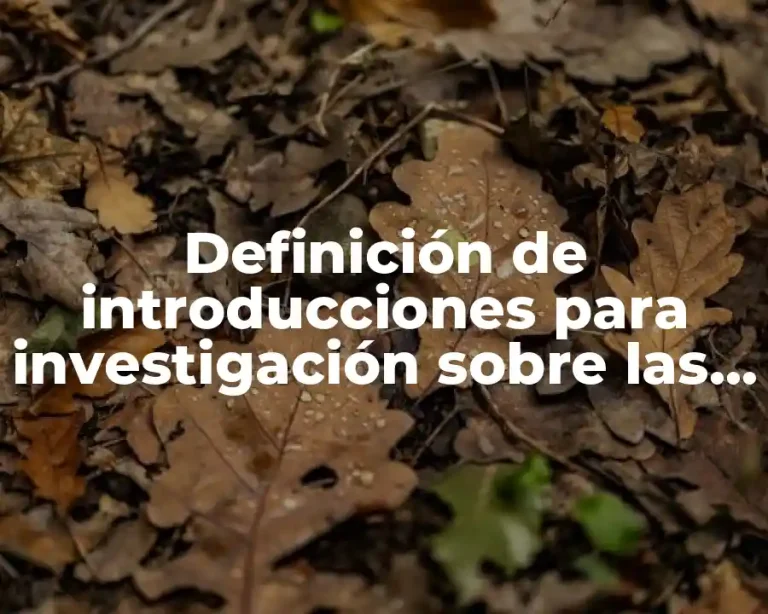 Definición de introducciones para investigación sobre las matemáticas financieras